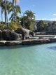 Photo - 203/1-8 Paradise Island, Surfers Paradise QLD 4217 - Image 17