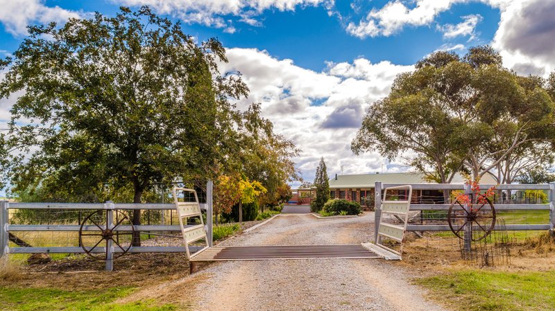 Photo - 2033 Oxley Highway, Tamworth NSW 2340 - Image 4