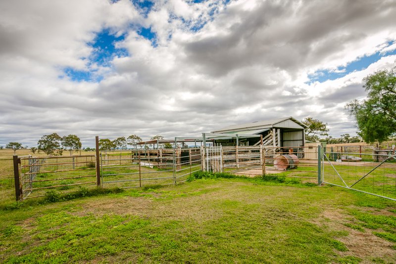 Photo - 2033 Oxley Highway, Tamworth NSW 2340 - Image 14