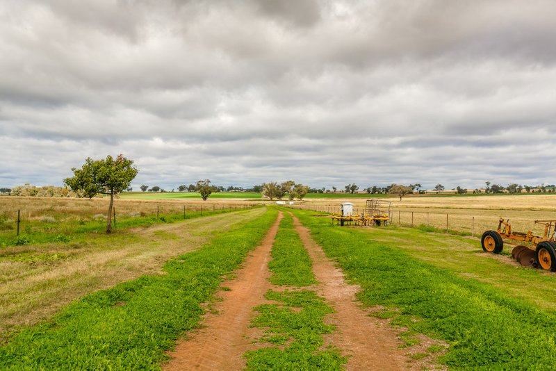 Photo - 2033 Oxley Highway, Tamworth NSW 2340 - Image 15