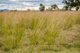 Photo - 2033 Oxley Highway, Tamworth NSW 2340 - Image 16