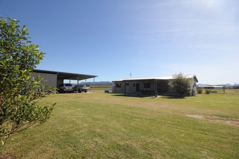 Photo - 2037 Abergowrie Road, Lannercost QLD 4850 - Image 14