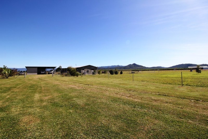 Photo - 2037 Abergowrie Road, Lannercost QLD 4850 - Image 15