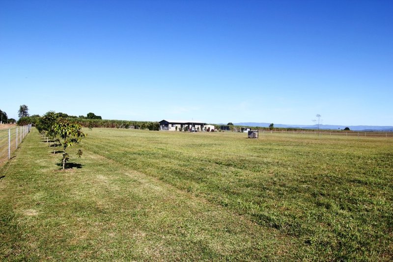 Photo - 2037 Abergowrie Road, Lannercost QLD 4850 - Image 20