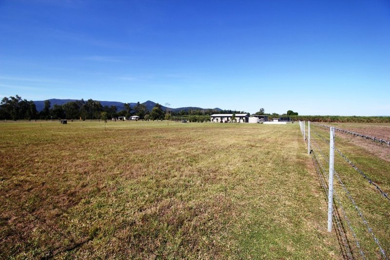 Photo - 2037 Abergowrie Road, Lannercost QLD 4850 - Image 21