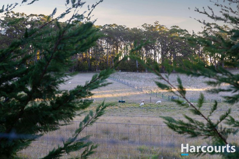 Photo - 203A Palmers Road, Latrobe TAS 7307 - Image 22