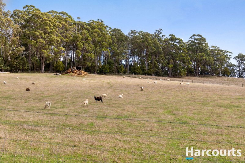 Photo - 203A Palmers Road, Latrobe TAS 7307 - Image 27