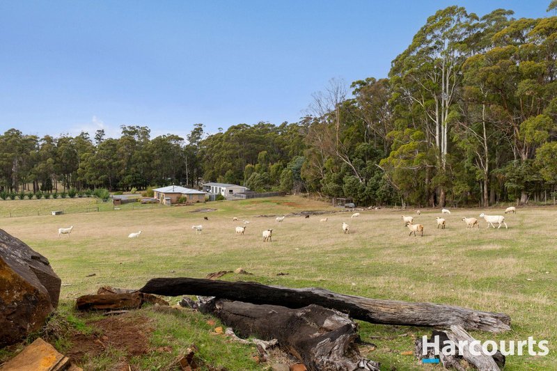 Photo - 203A Palmers Road, Latrobe TAS 7307 - Image 28