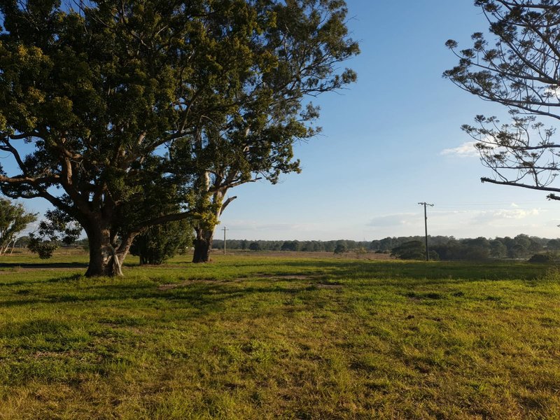 Photo - 204-208 Logan Reserve Road, Logan Reserve QLD 4133 - Image 10