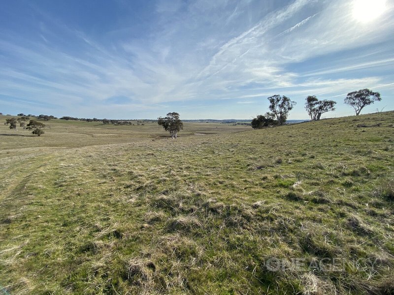 Photo - 204 Coles Lane "Malton" , Goulburn NSW 2580 - Image 20