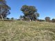 Photo - 204 Coles Lane "Malton" , Goulburn NSW 2580 - Image 24