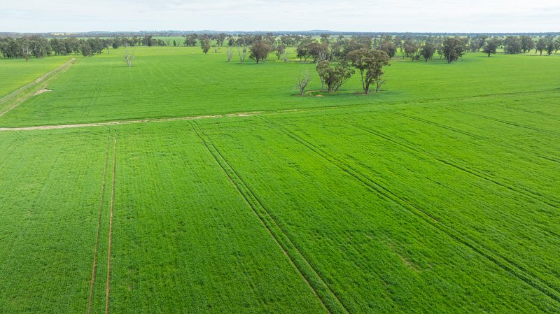 Photo - 204 Flaxvale Road, Goombargana NSW 2646 - Image 18