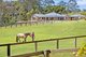 Photo - 204 Main Western Road, Tamborine Mountain QLD 4272 - Image 1