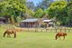 Photo - 204 Main Western Road, Tamborine Mountain QLD 4272 - Image 5