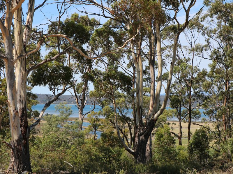 Photo - 205 Binalong Bay Road, St Helens TAS 7216 - Image 5