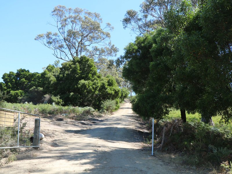 Photo - 205 Binalong Bay Road, St Helens TAS 7216 - Image 7