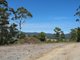 Photo - 205 Binalong Bay Road, St Helens TAS 7216 - Image 10