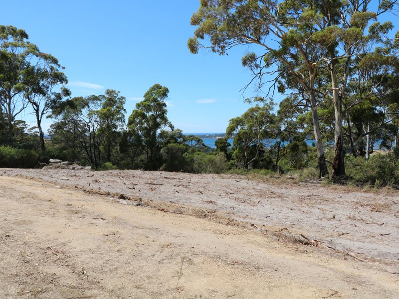 Photo - 205 Binalong Bay Road, St Helens TAS 7216 - Image 14