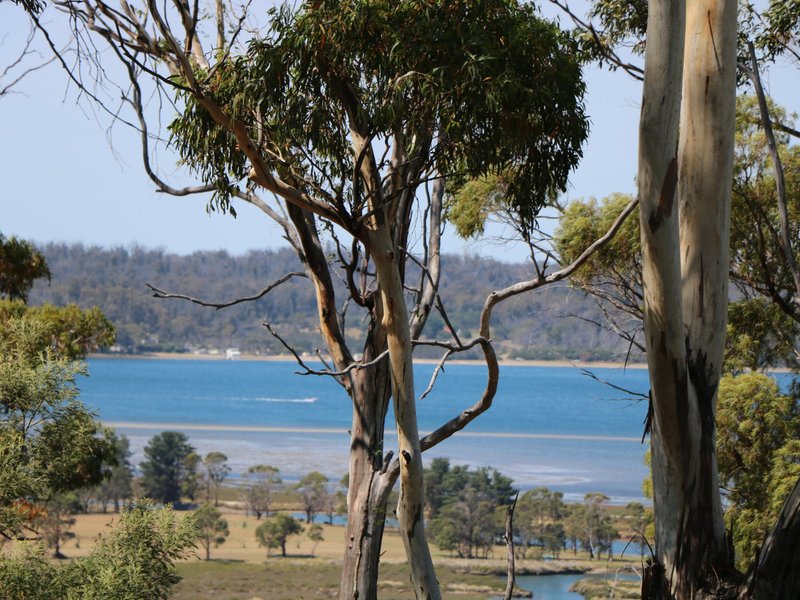 Photo - 205 Binalong Bay Road, St Helens TAS 7216 - Image 15