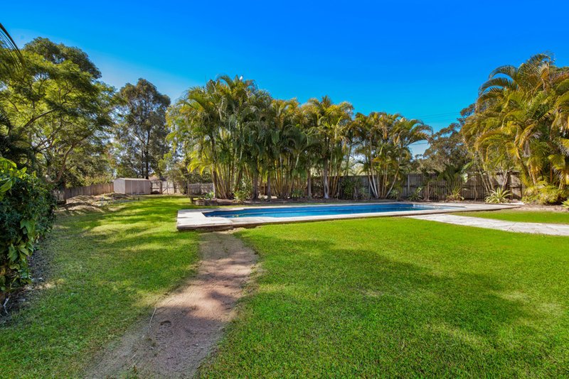 Photo - 205 Mons School Road, Buderim QLD 4556 - Image 13