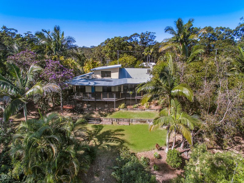 Photo - 205 Mons School Road, Buderim QLD 4556 - Image 19