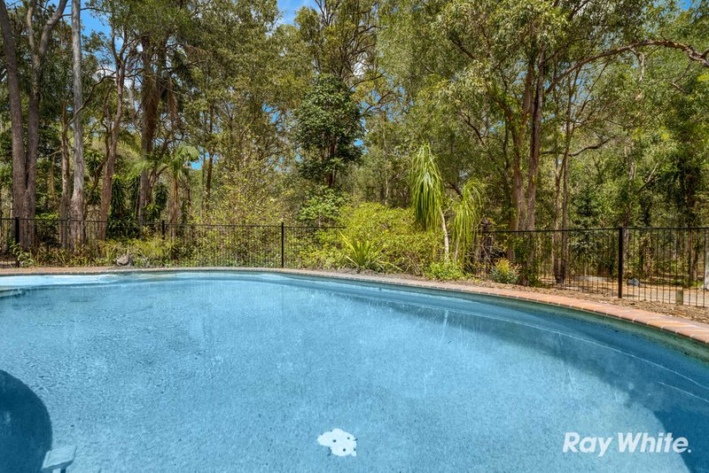 Photo - 2053 Waterford Tamborine Road, Tamborine QLD 4270 - Image 18