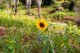 Photo - 206 Amamoor Dagun Road, Amamoor QLD 4570 - Image 22