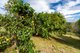 Photo - 206 Amamoor Dagun Road, Amamoor QLD 4570 - Image 23