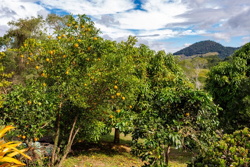 Photo - 206 Amamoor Dagun Road, Amamoor QLD 4570 - Image 27