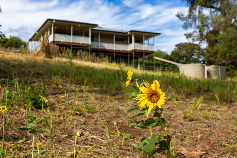 Photo - 206 Amamoor Dagun Road, Amamoor QLD 4570 - Image 29