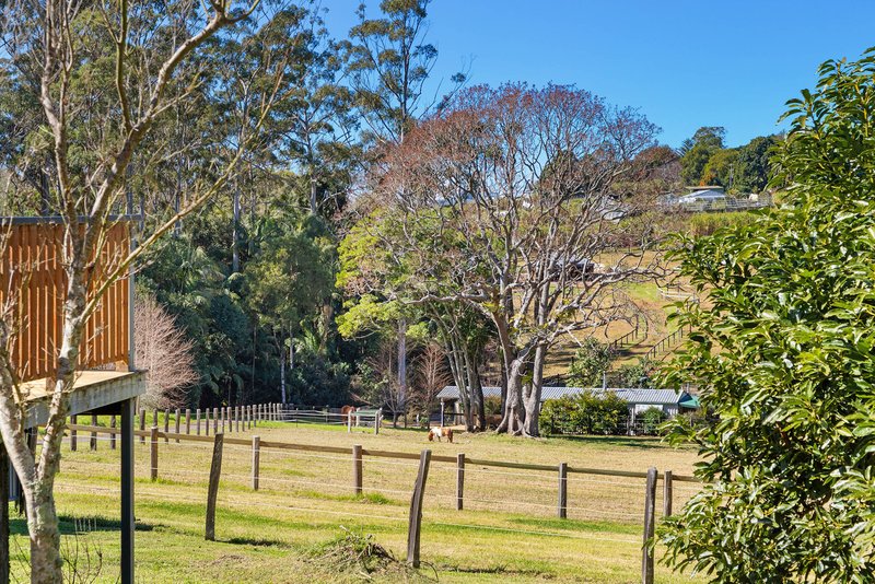 Photo - 206 Main Western Road, Tamborine Mountain QLD 4272 - Image 30