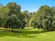 Photo - 206 Repentance Creek Road, Rosebank NSW 2480 - Image 15