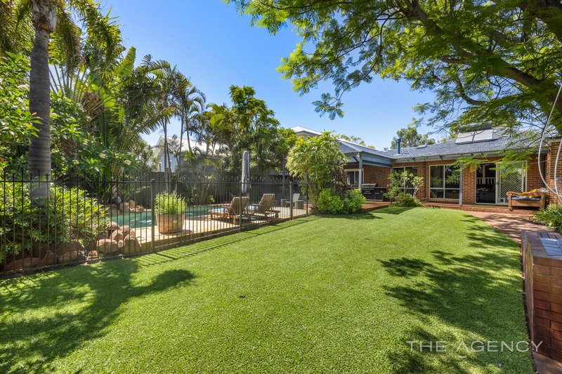 206 St Brigids Terrace, Doubleview WA 6018