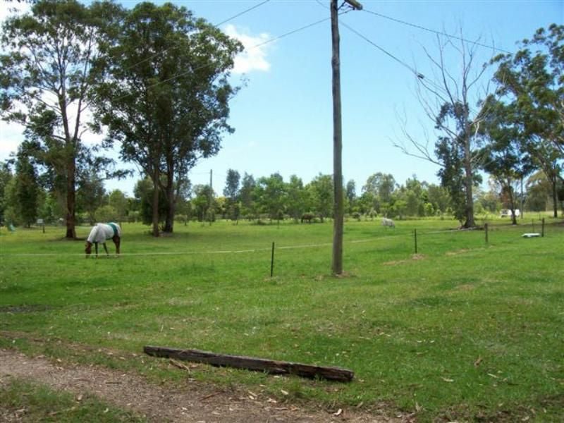 Photo - 206 Wharf Road, Johns River NSW 2443 - Image 3