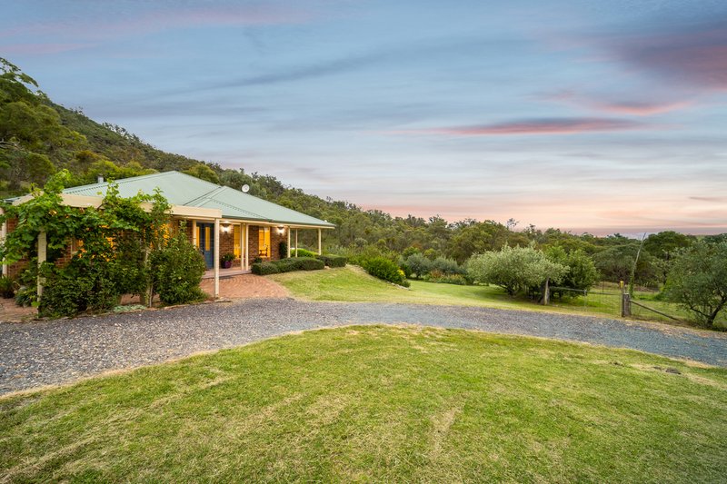 Photo - 206 Yellow Box Road, The Angle NSW 2620 - Image 3