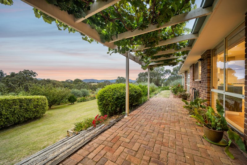 Photo - 206 Yellow Box Road, The Angle NSW 2620 - Image 26