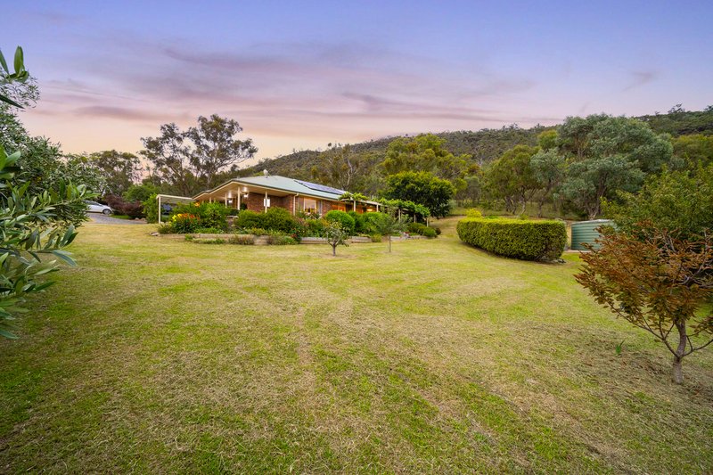 Photo - 206 Yellow Box Road, The Angle NSW 2620 - Image 34