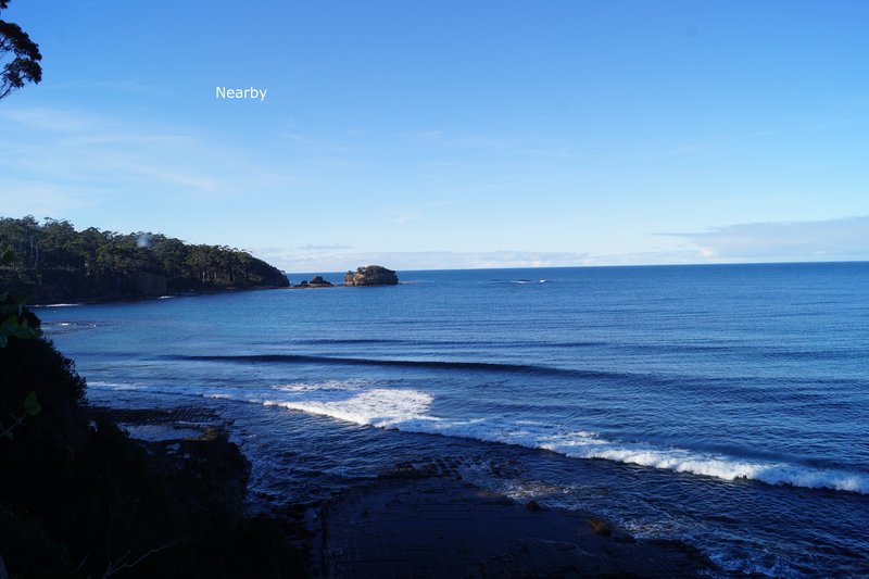 Photo - 206A Old Jetty Road, Eaglehawk Neck TAS 7179 - Image 8