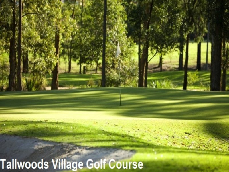 207 Grangewood Avenue, Tallwoods Village NSW 2430 Real Estate