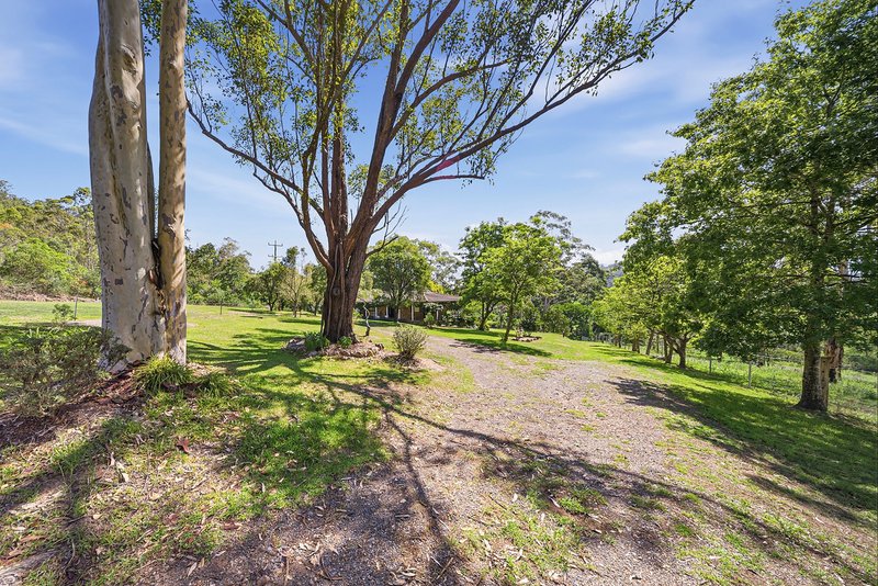 Photo - 207 Martins Creek Road, Paterson NSW 2421 - Image 5