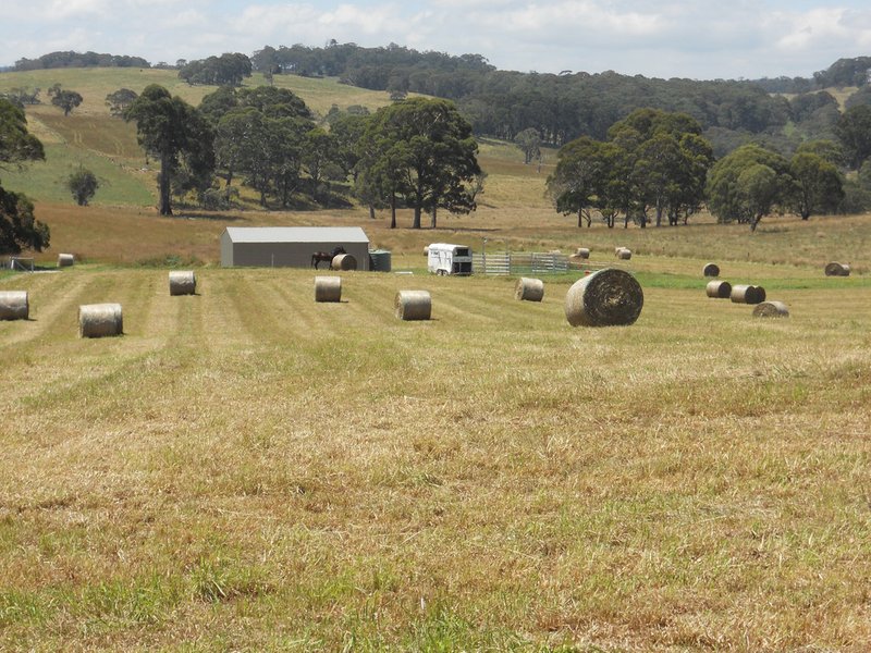 207 Sheepstation Forest Road, Oberon NSW 2787