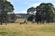 Photo - 207 Sheepstation Forest Road, Oberon NSW 2787 - Image 4