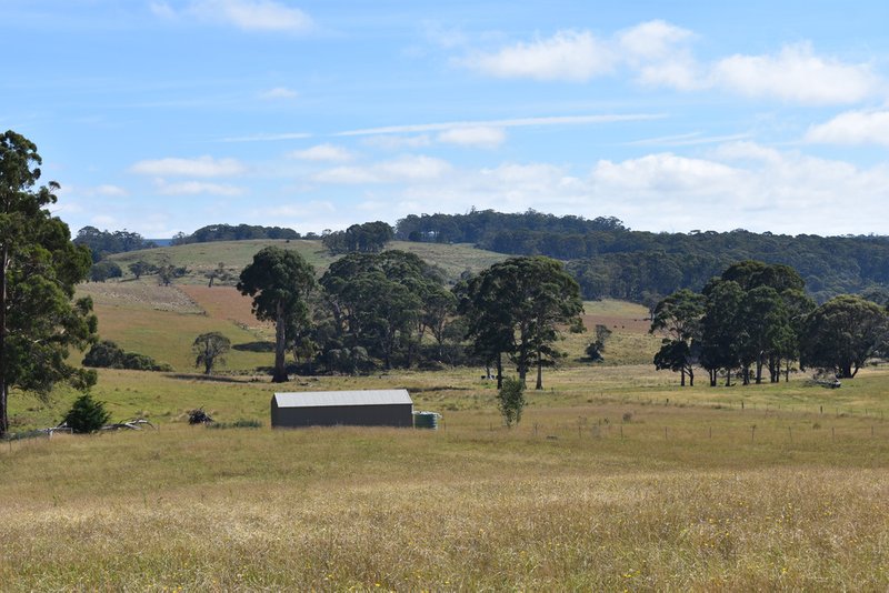 Photo - 207 Sheepstation Forest Road, Oberon NSW 2787 - Image 6