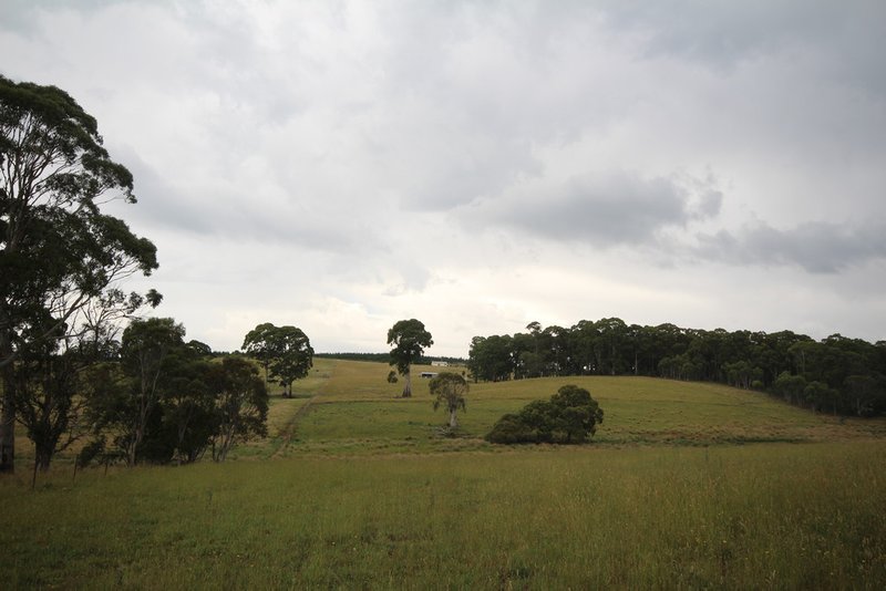 Photo - 207 Sheepstation Forest Road, Oberon NSW 2787 - Image 11