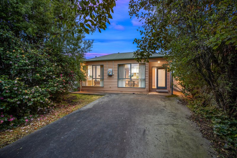 Photo - 208 Armstrong Street North, Soldiers Hill VIC 3350 - Image 23