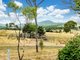 Photo - 208 Oaky Creek Rd , Oaky Creek QLD 4285 - Image 21