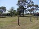 Photo - 209 Glendon Lane, Singleton NSW 2330 - Image 3