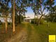 Photo - 209 Koah Road, Koah QLD 4881 - Image 20