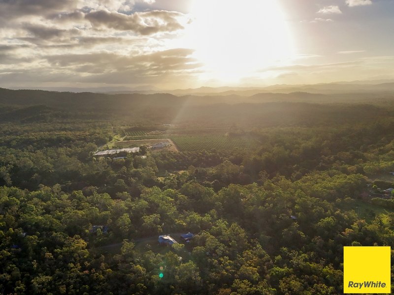 Photo - 209 Koah Road, Koah QLD 4881 - Image 23