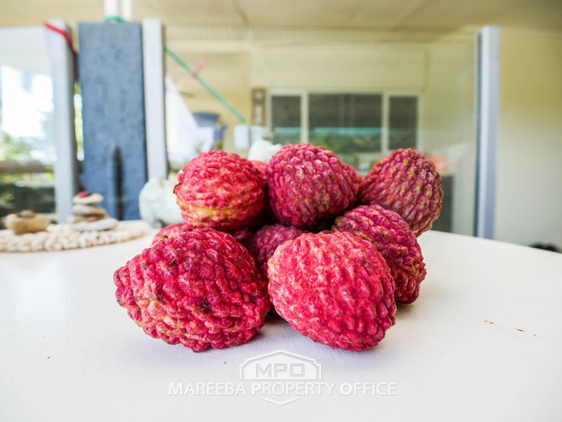 209 Malone Road, Mareeba QLD 4880 Real Estate Industry Partners